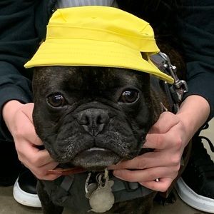 Meet your Posher, Tami